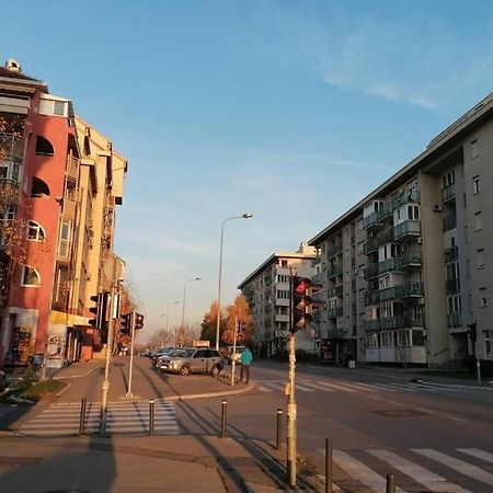 Oasis Felix Apartment 贝尔格莱德 外观 照片