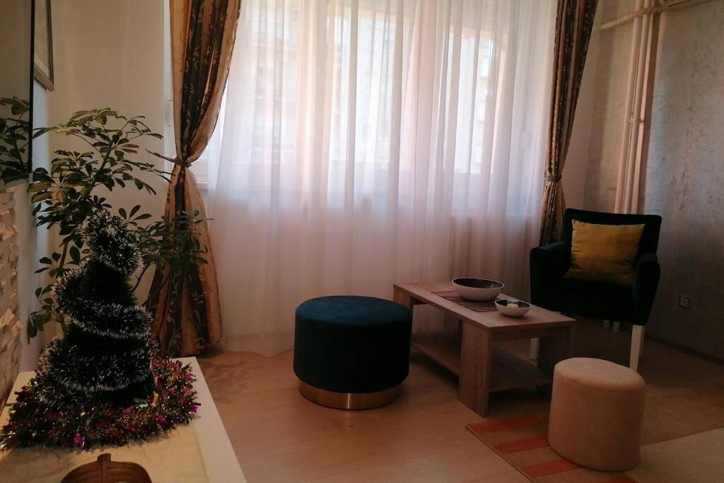 Oasis Felix Apartment 贝尔格莱德 外观 照片