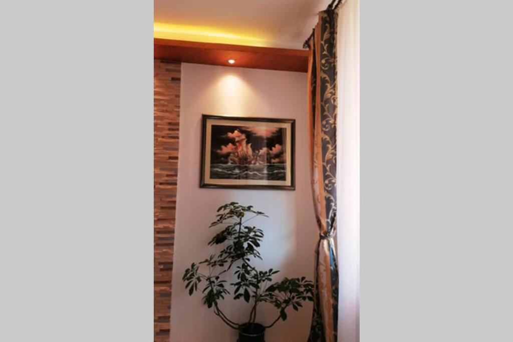 Oasis Felix Apartment 贝尔格莱德 外观 照片
