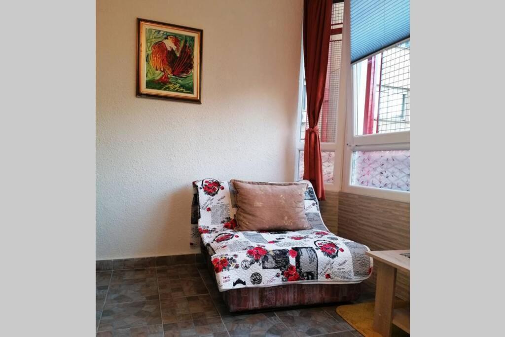 Oasis Felix Apartment 贝尔格莱德 外观 照片