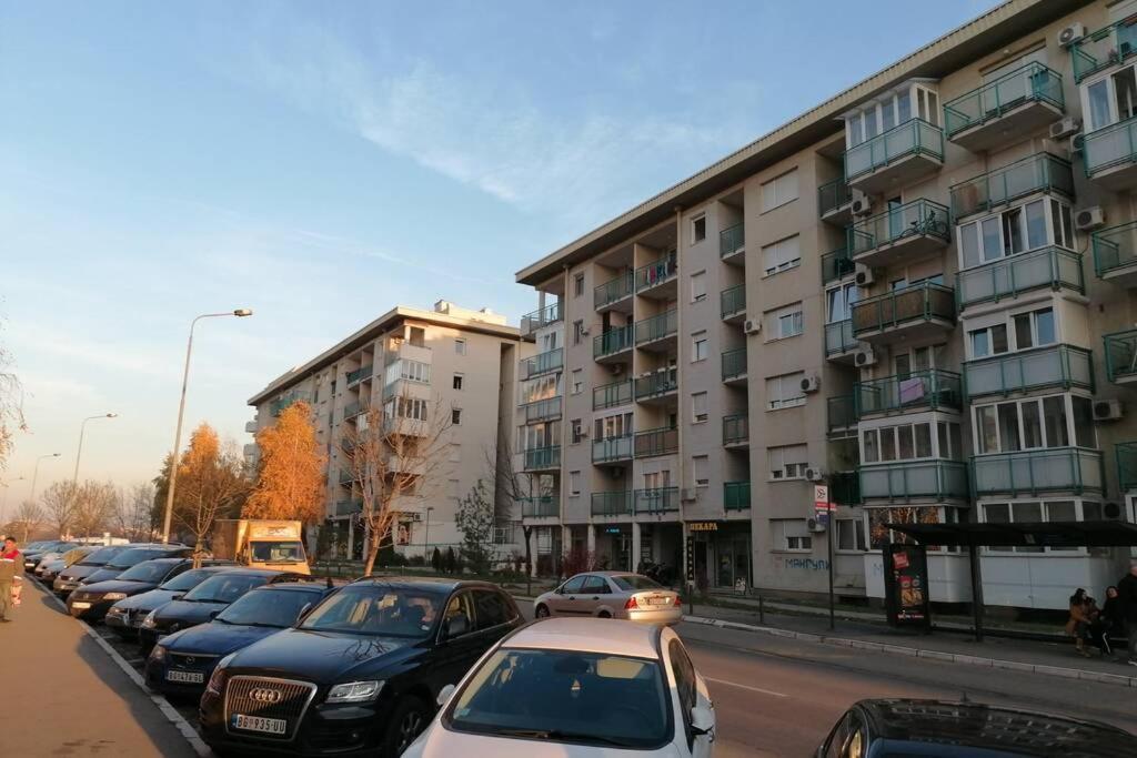 Oasis Felix Apartment 贝尔格莱德 外观 照片